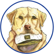 Sea Dog Boating Solutions Logo Sea Dog Boating Solutions Logo